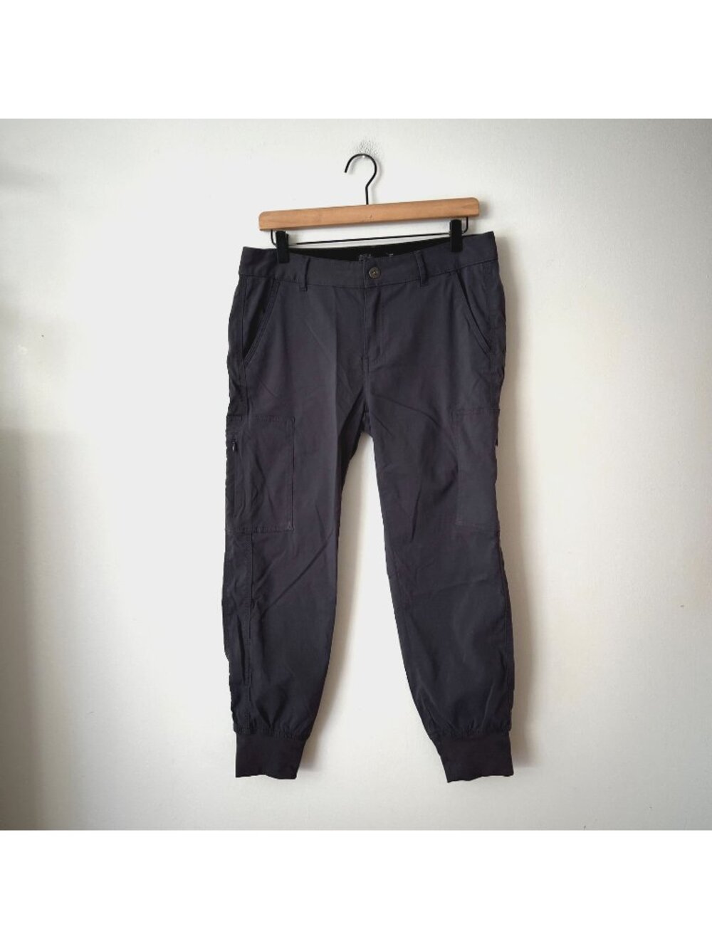 Prana Sky Canyon Jogger Gray Hiking Pants Women's Size 10